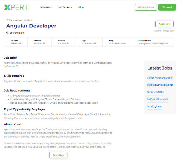 angular developer